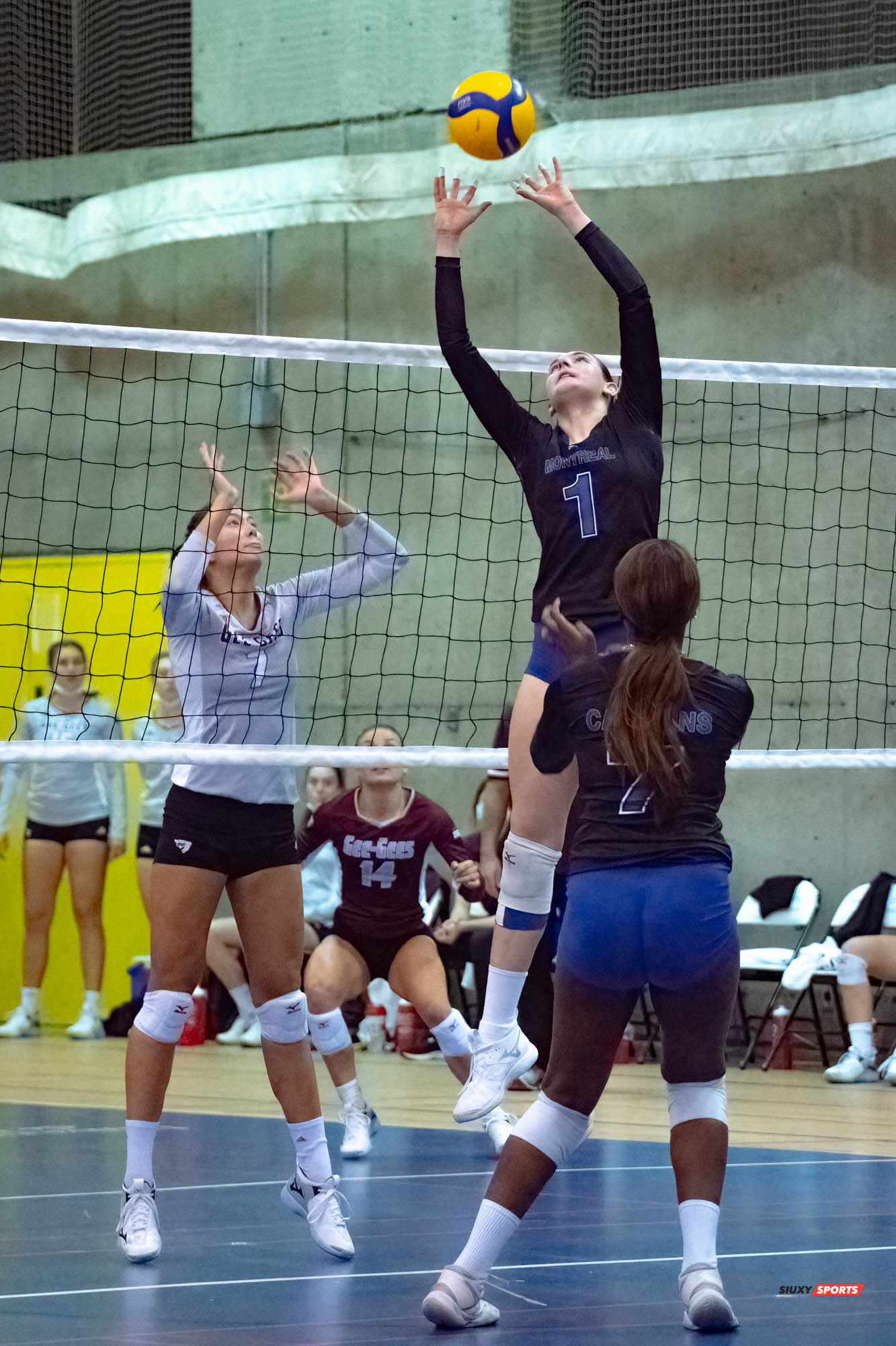 Océane COUTURIER - Alana LEUNG -  Université de Montréal - Université Ottawa - Volleyball -  (#VolleyUdeMvsUOttawaFW) Photo by:  | Siuxy Sports 2021-11-12