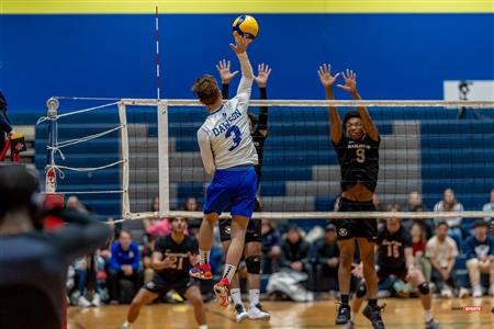 RSEQ - VOLLEYBALL C M D2 SUD-OUEST - TOURNOI 4 - SECTION A - Aigles (2) VS (1) Blues