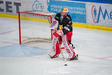 BDL Grenoble vs Mulhouse