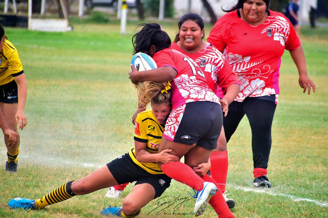  Catamarca Rugby Club -  - Rugby -  () Photo by:  | Siuxy Sports 2019-11-15