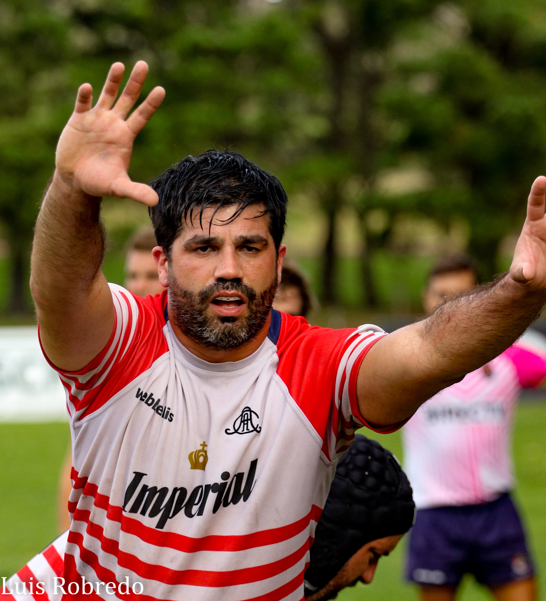  Los Cardos Rugby Club - Areco Rugby Club - Rugby - Los Cardos Rugby Club vs Areco Rugby Club (#LCRCvsARC2022) Photo by: Luis Robredo | Siuxy Sports 2022-03-08