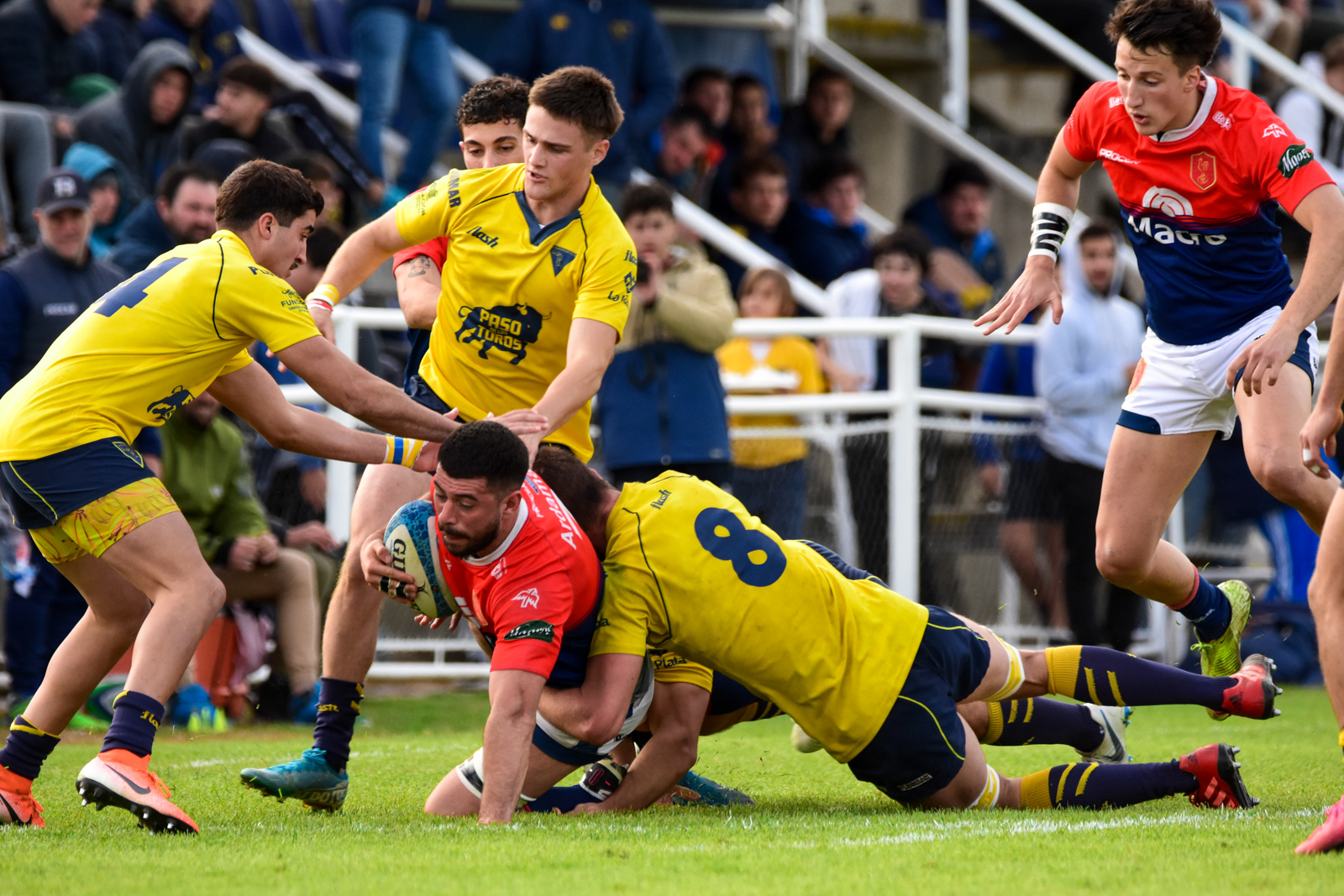 La Plata Rugby Club - Asociación Deportiva Francesa - Rugby - La Plata vs Deportiva Francesa - Primera, Inter, Prés - URBA 1raA (#LaPlataDepo2022URBA) Photo by: Ignacio Pousa | Siuxy Sports 2022-06-04