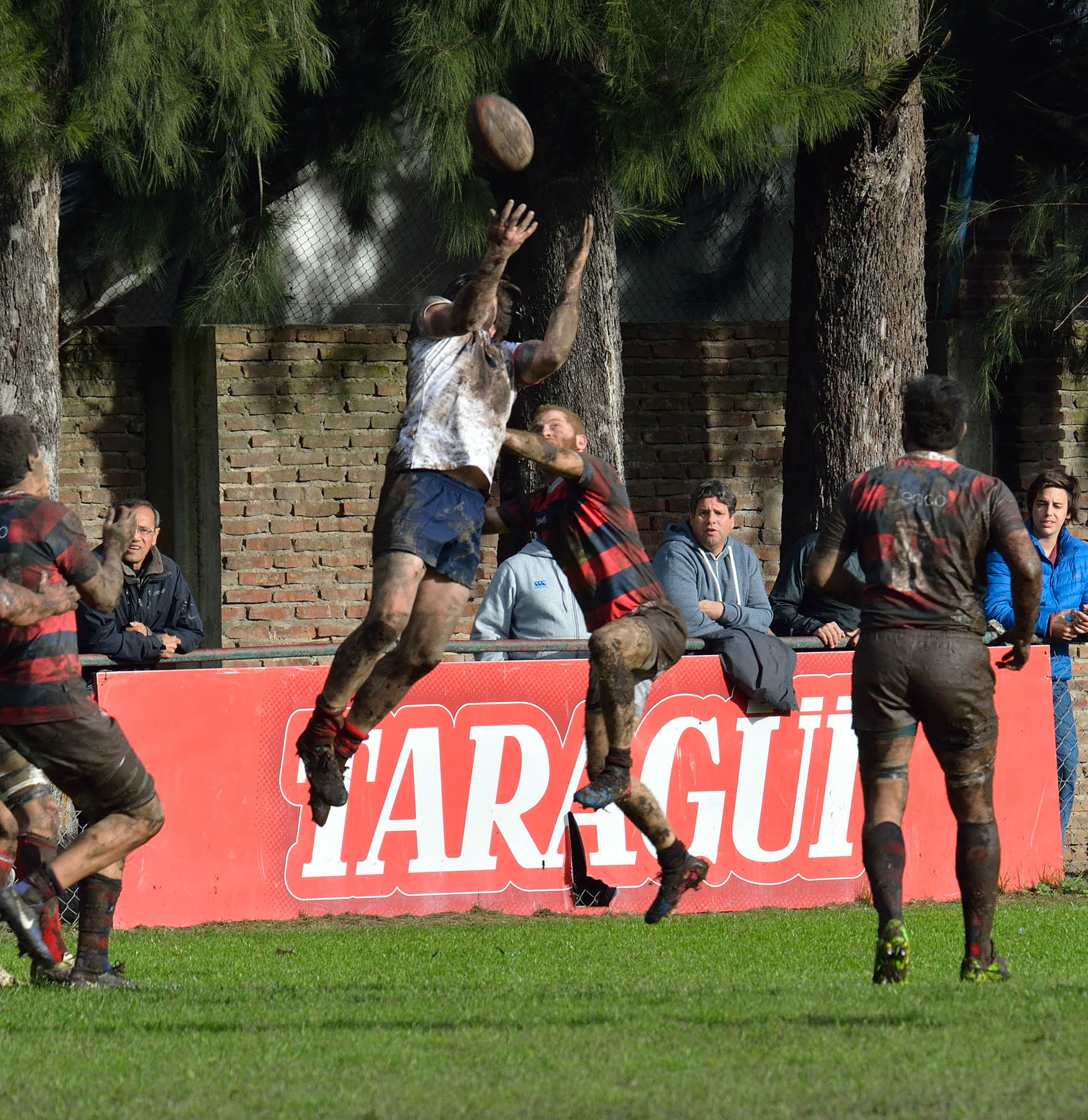  Curupaytí Club de Rugby - Pueyrredón Rugby Club - Rugby -  (#CurupaVsPuey2017) Photo by: Edy Rung | Siuxy Sports 2017-08-19