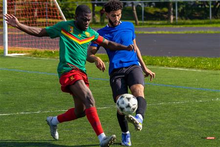 Lions du Cameroun Vs Top Boys FC - LIGAF One