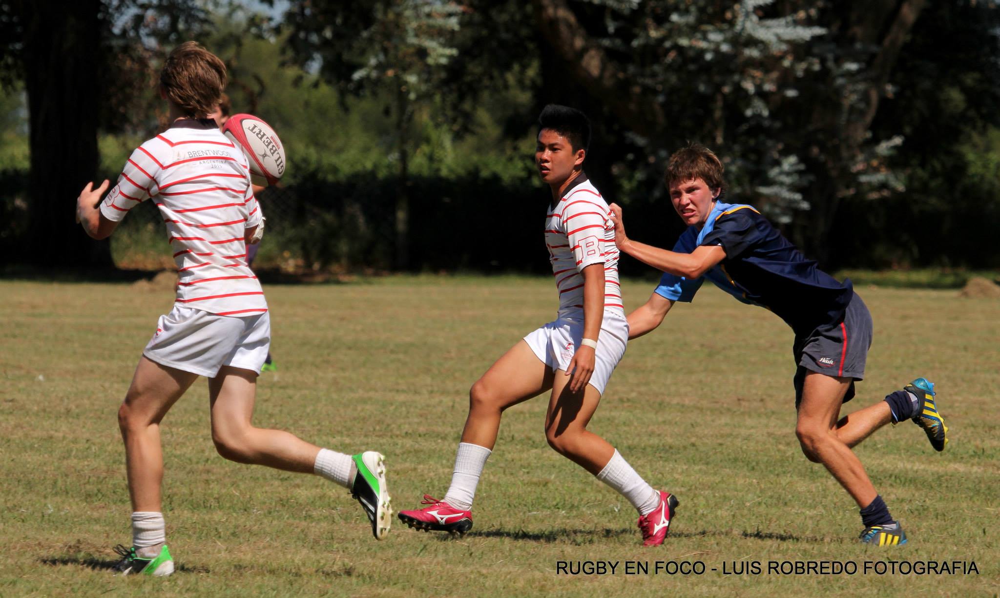  Colegio San Antonio - Brentwood College School - Rugby - Colegio San Antonio Vs Brentwood College - 2015 - Encuentro Rugby (#CSAvsBrentwood2015rugby) Photo by: Luis Robredo | Siuxy Sports 2015-03-12