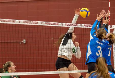 RSEQ - Volley Fém (D2) - UQAC (3) vs (1) UQO - Reel 2