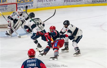 GRENOBLE BDL VS DUCS D'ANGERS - Finale 2022
