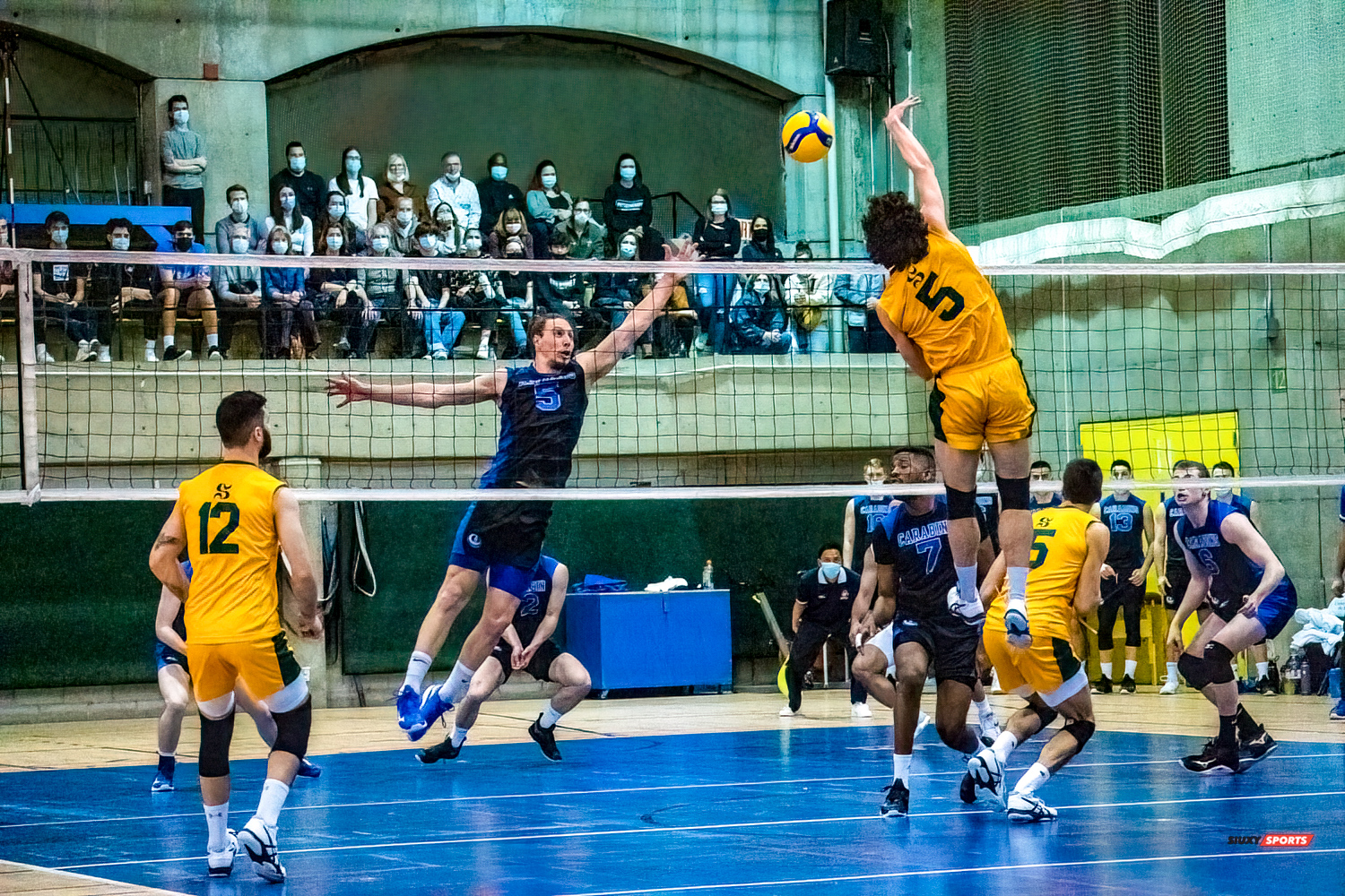 Guillaume BISSON - Zachary HOLLANDS - Sébastien LAPENSÉE -  Université de Montréal - Université de Sherbrooke - Volleyball - Université de Sherbrooke (3) vs Université de Montréal (1) - Final 1 2022 (#VertOrVsCarabinsFinal1M) Photo by:  | Siuxy Sports 2022-03-19