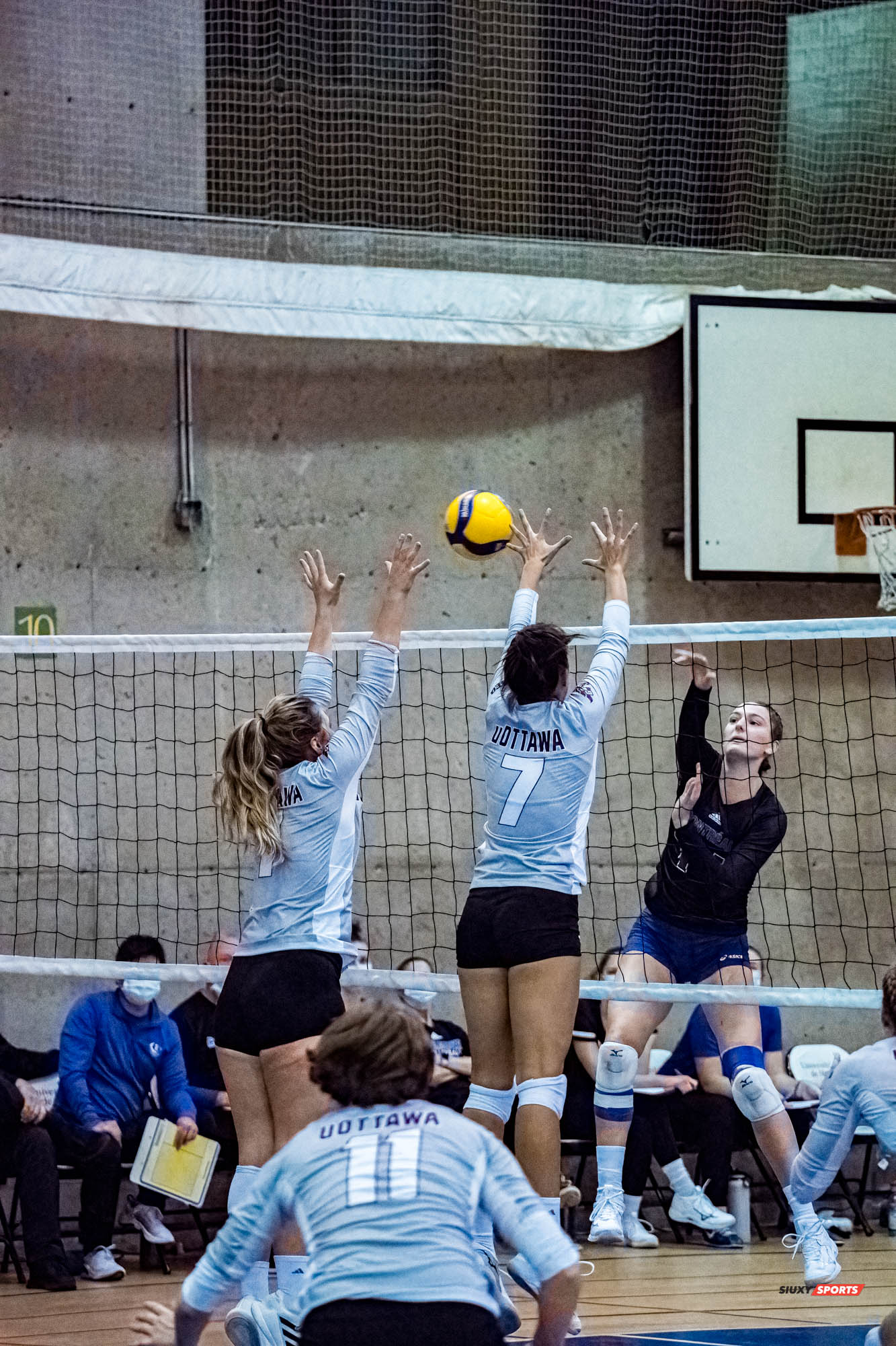 Gabrielle FORTIN -  Université de Montréal - Université Ottawa - Volleyball -  (#VolleyUdeMvsUOttawaFW) Photo by:  | Siuxy Sports 2021-11-12