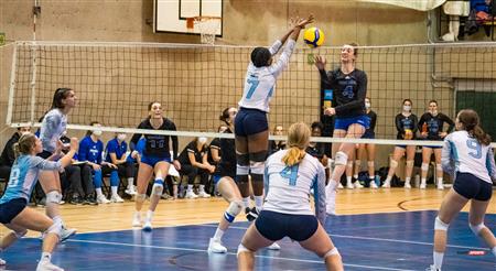 Université de Montréal vs Université du Québec à Montréal - Volleyball Fém