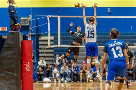 RSEQ - VOLLEYBALL C M D2 SUD-OUEST - TOURNOI 4 - SECTION A - Aigles (2) VS (1) Blues