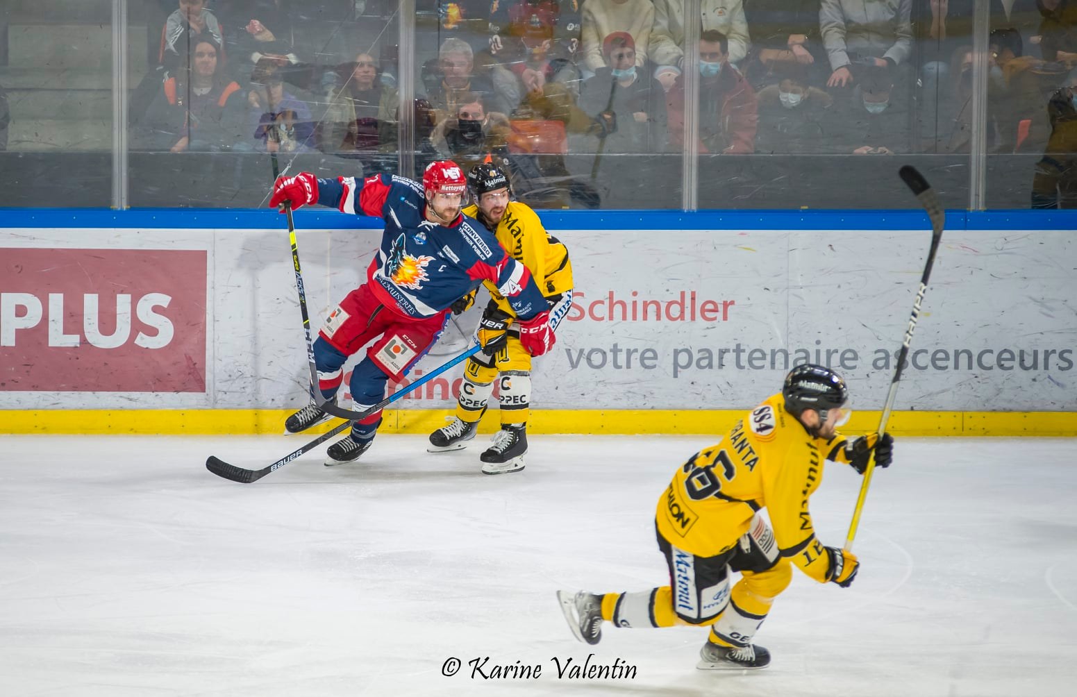  Grenoble - Rouen - Ice hockey - BDL Grenoble vs Rouen (#BDLvsDragons2022) Photo by: Karine Valentin | Siuxy Sports 2022-02-25