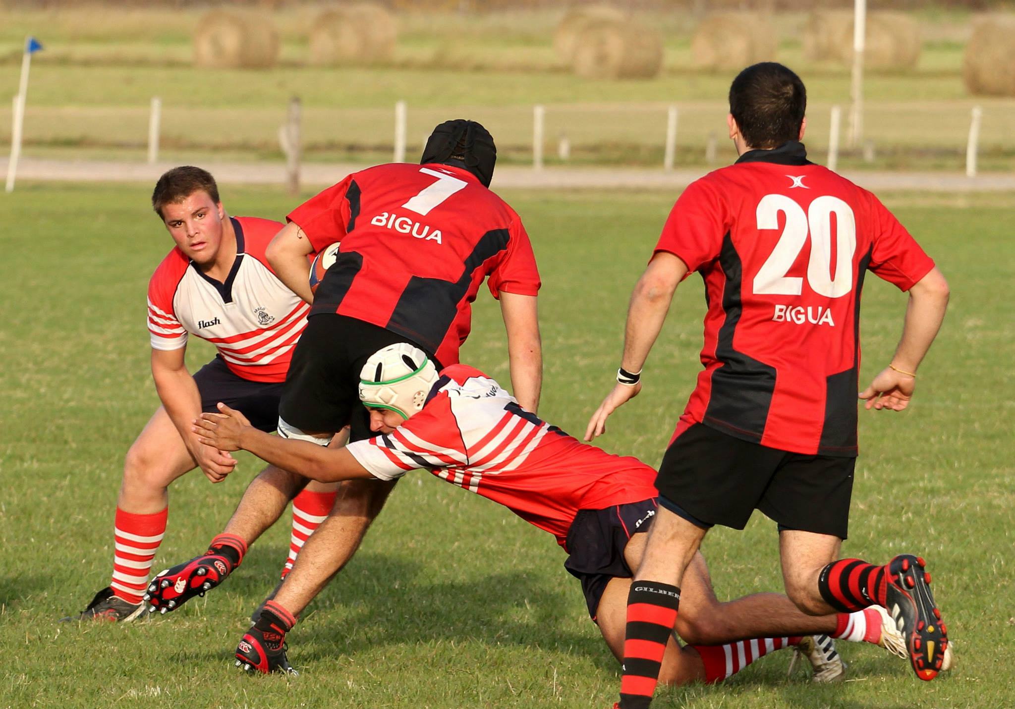  Areco Rugby Club - Tiro Federal de San Pedro - Rugby - Areco Rugby Club vs Tiro Federal de San Pedro (#ARCvsBIGUA2014) Photo by: Luis Robredo | Siuxy Sports 2014-04-28