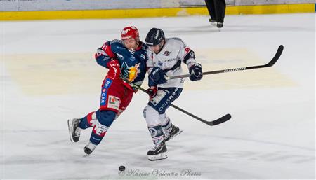 GRENOBLE BDL VS DUCS D'ANGERS - Finale 2022