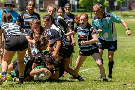 Wanderers (17) Vs (22) Irish - Provinciale 1 F