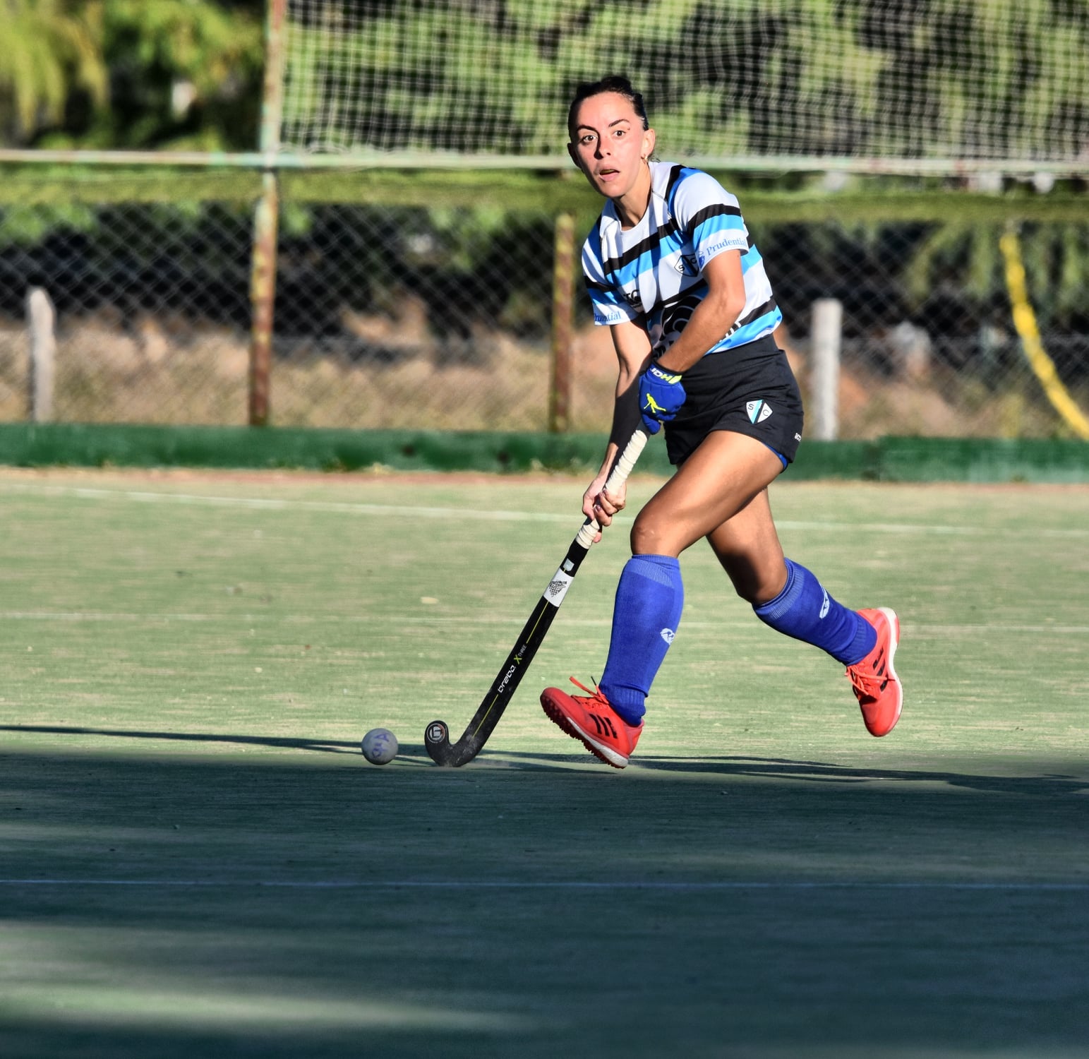  San Isidro Club - Club Atlético Banco de la Provincia de Buenos Aires - Field hockey - S.I.C. A vs Banco Provincia A -  Inter y 1ra - 2022 (#SICBPROV2022) Photo by: Edgardo Kleiman | Siuxy Sports 2022-04-09