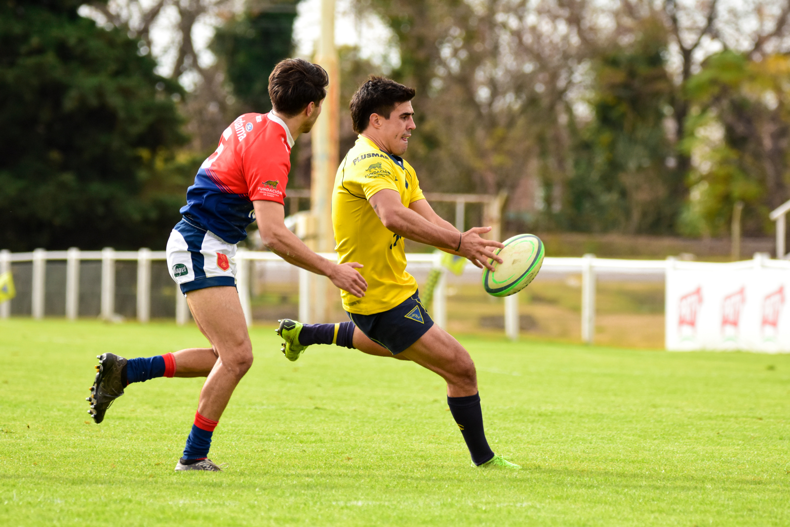  La Plata Rugby Club - Asociación Deportiva Francesa - Rugby - La Plata vs Deportiva Francesa - Primera, Inter, Prés - URBA 1raA (#LaPlataDepo2022URBA) Photo by: Ignacio Pousa | Siuxy Sports 2022-06-04