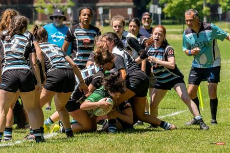 Wanderers (17) Vs (22) Irish - Provinciale 1 F