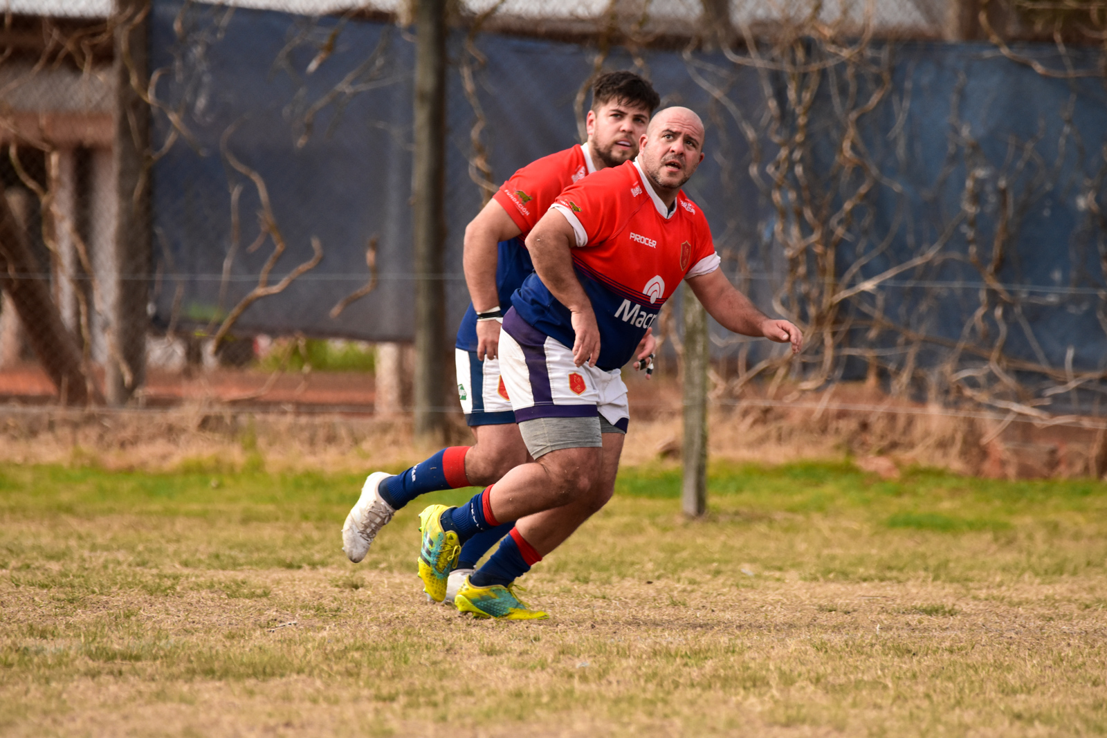  La Plata Rugby Club - Asociación Deportiva Francesa - Rugby - La Plata vs Deportiva Francesa - Primera, Inter, Prés - URBA 1raA (#LaPlataDepo2022URBA) Photo by: Ignacio Pousa | Siuxy Sports 2022-06-04