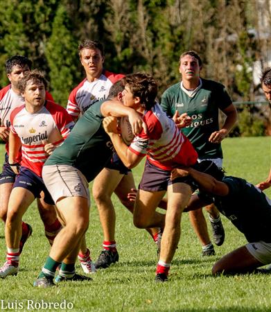 Los Cardos Rugby Club vs Areco Rugby Club