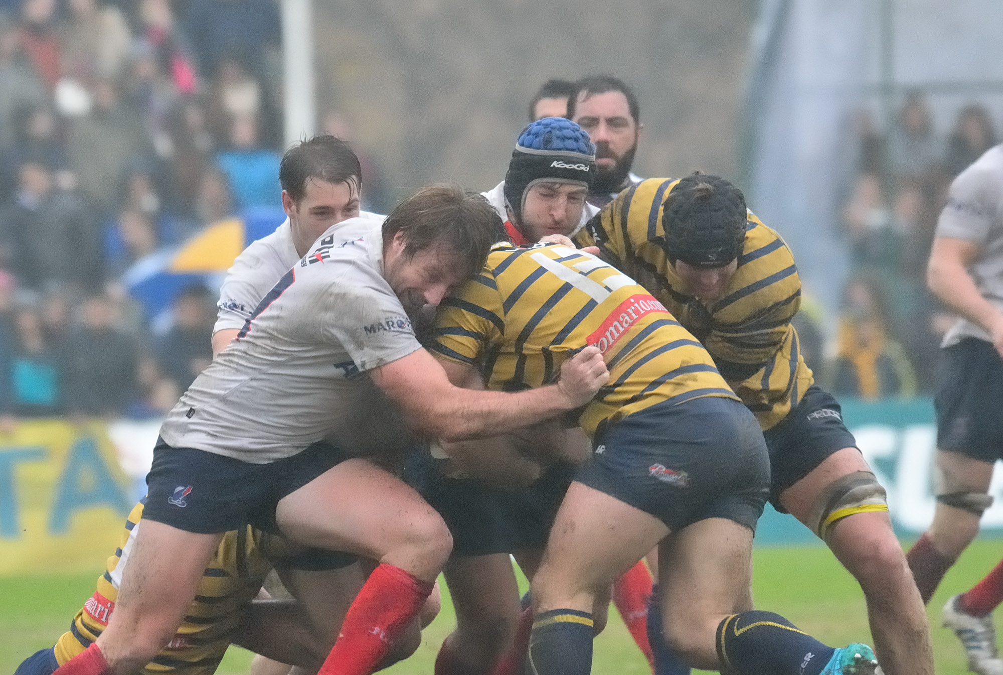  Pueyrredón Rugby Club - Club Regatas de Bella Vista - Rugby -  (#PueyVsRegatasBV2016) Photo by: Edy Rung | Siuxy Sports 2016-05-28