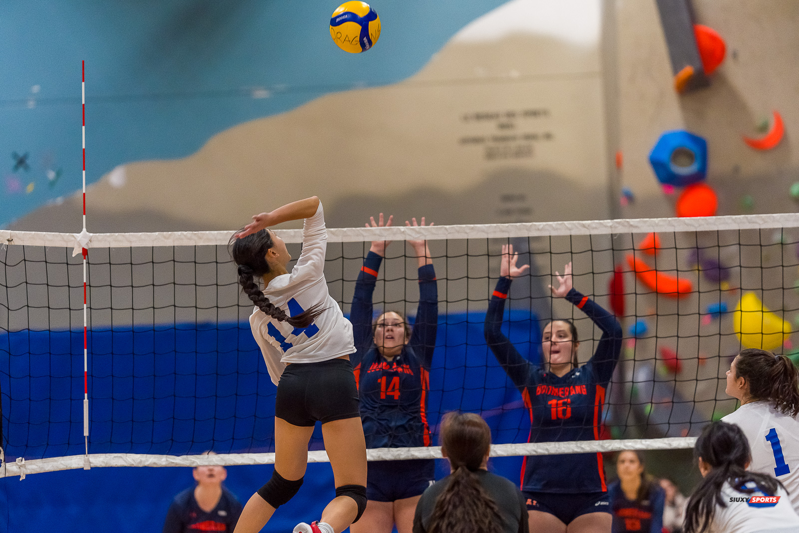 Cégep André Laurendeau - Collège Marianopolis - Volleyball - RSEQ - Volleyball C F D2 Sud-Ouest - Tournoi 4 - Sect F - André Laurendeau (2) vs (1) Marianopolis (#RSEQVolleyALvsMariano2022) Photo by: Dan Taylor-Morin | Siuxy Sports 2022-11-27