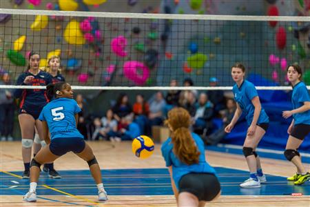 RSEQ - Volleyball C F D2 Sud-Ouest - Tournoi 4 - Sect F - André Laurendeau (2) vs (1) Gérald Godin