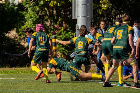 RSEQ RUGBY Masc - U. DE MONTRÉAL (50) vs (7) U. Sherbrooke - Reel A1