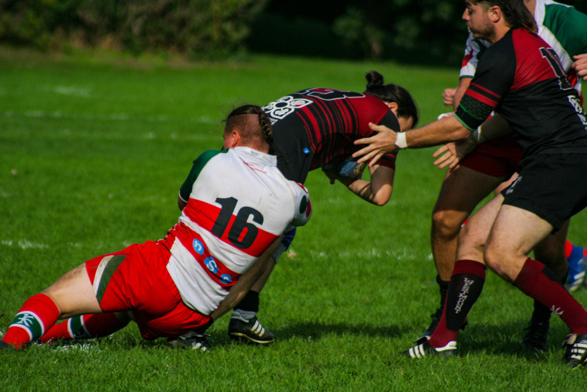  Westmount Rugby Club - Rugby Club de Montréal - Rugby -  (#WRCvsRCM2021m) Photo by:  | Siuxy Sports 2021-09-25