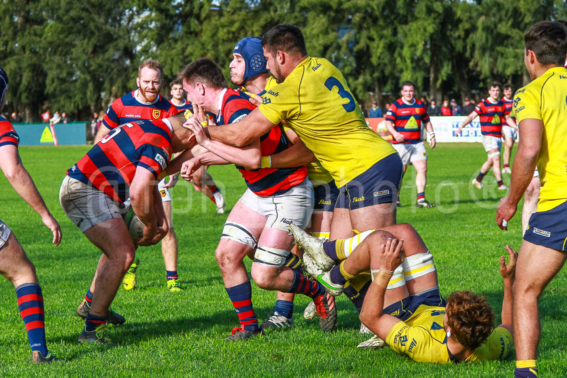  Curupaytí Club de Rugby - La Plata Rugby Club - Rugby - Curupayti (5) vs (50) La Plata - URBA Primera A - Fecha #18 (#URBA18CurupaLaPlata2022) Photo by: Alan Roy Bahamonde | Siuxy Sports 2022-08-27
