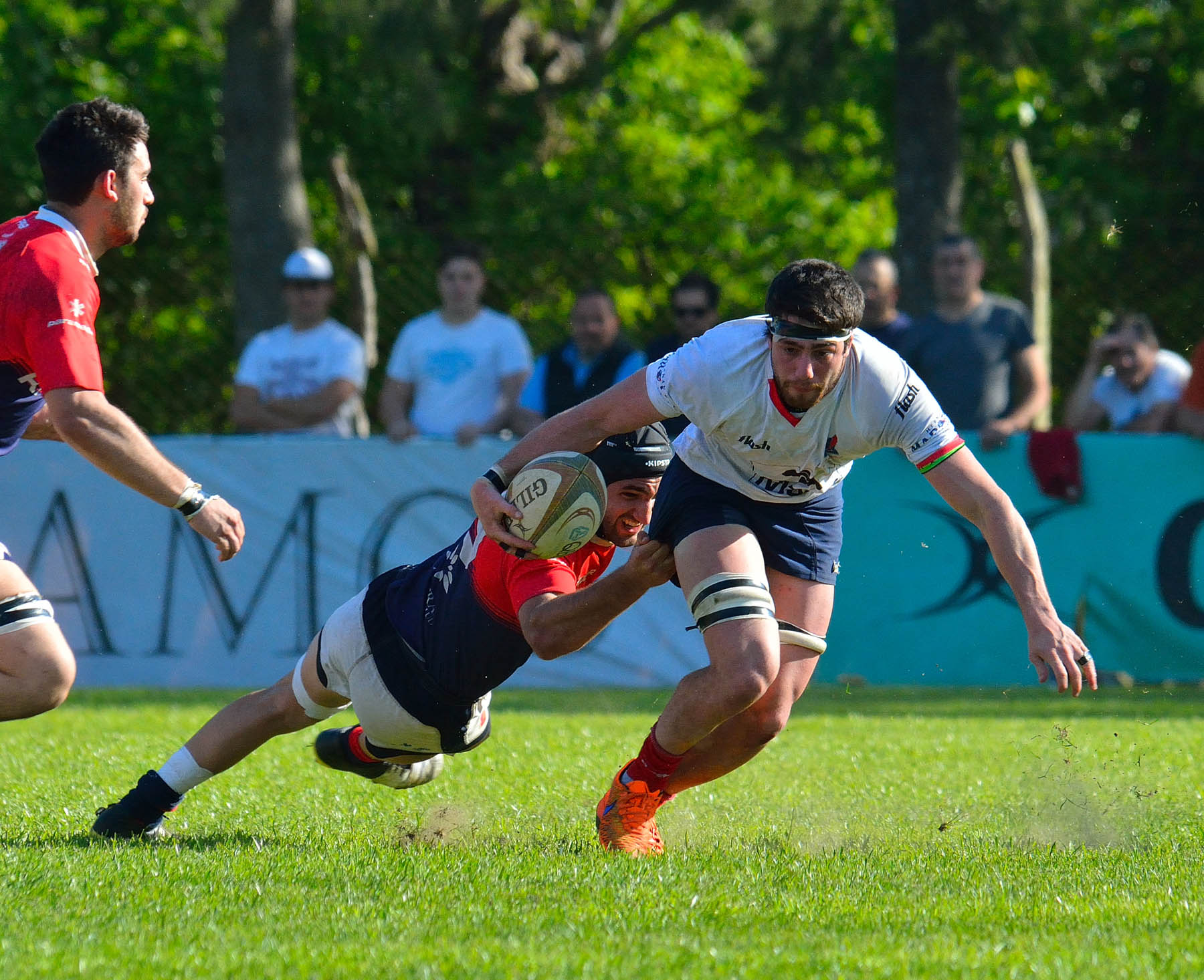  Pueyrredón Rugby Club - Asociación Deportiva Francesa - Rugby -  (#PueyVsDepoOct2018Prim) Photo by: Edy Rung | Siuxy Sports 2018-10-06