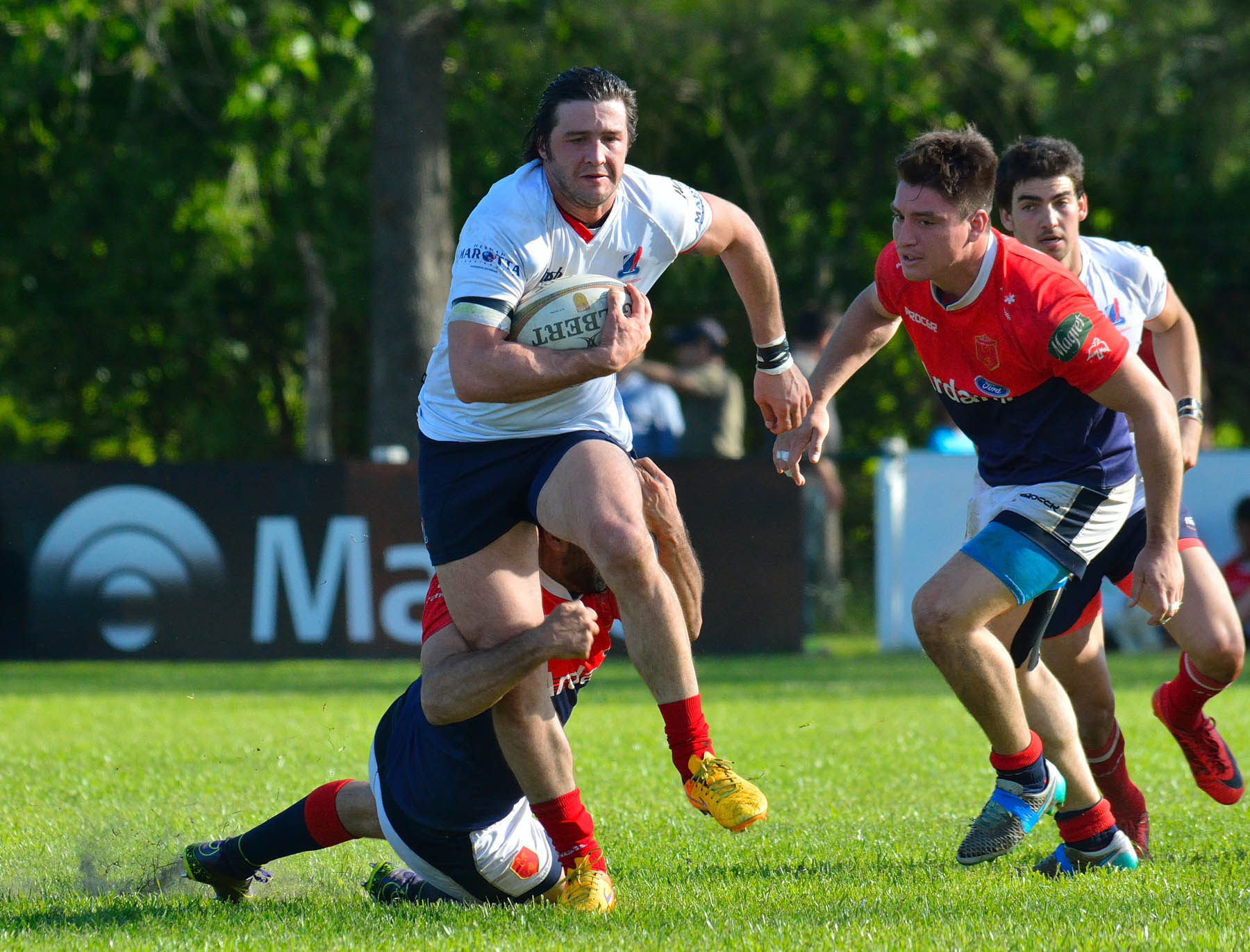  Pueyrredón Rugby Club - Asociación Deportiva Francesa - Rugby -  (#PueyVsDepoOct2018Prim) Photo by: Edy Rung | Siuxy Sports 2018-10-06