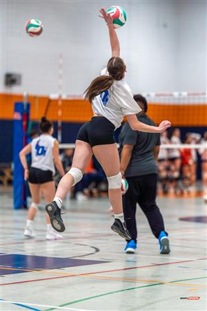 RSEQ - Volleyball Fém - André Laurendeau - Outaouais - Reel B (Pré-Match)