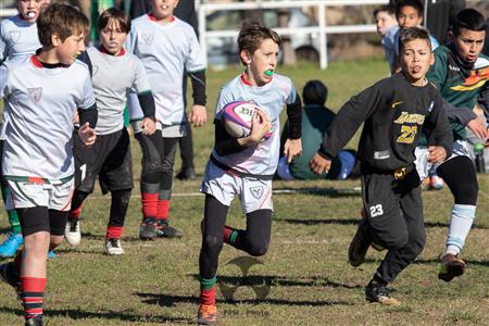 M12 SITAS vs Virreyes