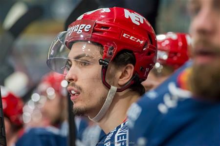GRENOBLE BDL VS DUCS D'ANGERS - Finale 2022