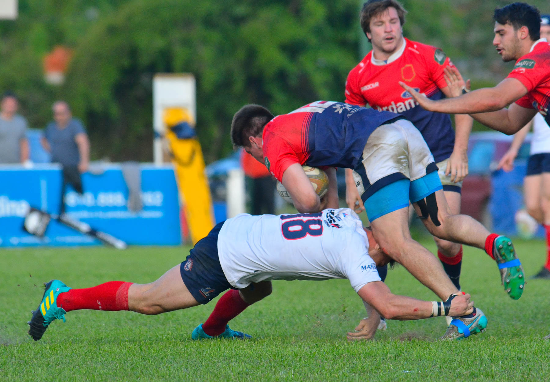  Pueyrredón Rugby Club - Asociación Deportiva Francesa - Rugby -  (#PueyVsDepoOct2018Prim) Photo by: Edy Rung | Siuxy Sports 2018-10-06