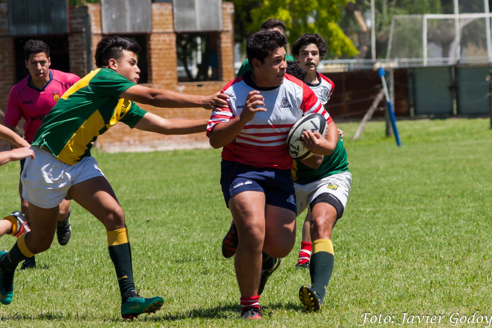 Agustin ROCHA -  Areco Rugby Club - Las Cañas - Rugby - Imparable (#ArecoVsLasCanas2019) Photo by: Javier Godoy | Siuxy Sports 2019-11-03