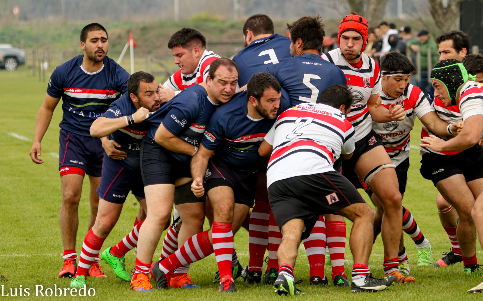  Areco Rugby Club - Monte Grande - Rugby -  (#ArecoVsMonteGrande2021) Photo by: Luis Robredo | Siuxy Sports 2021-08-31