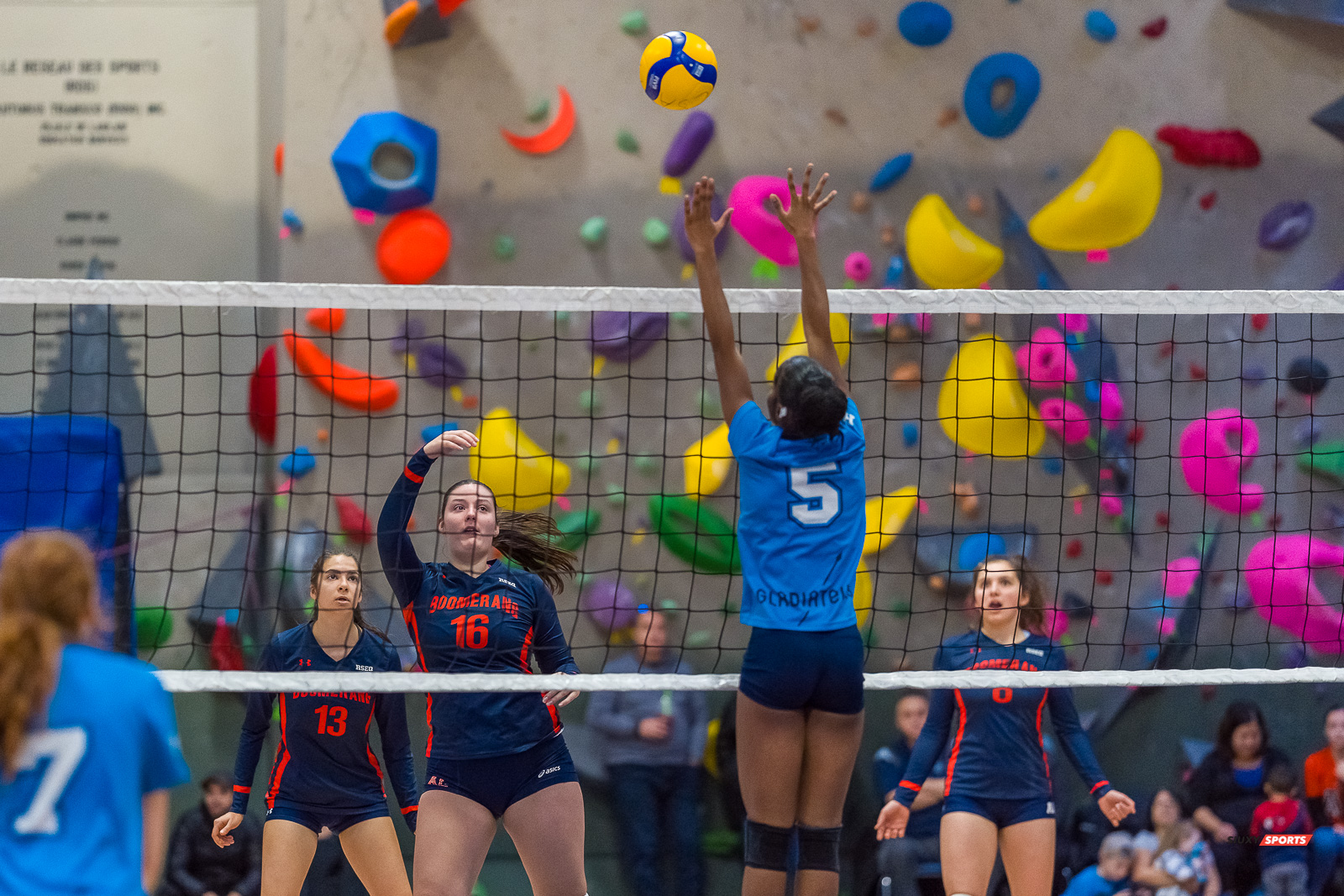  Cégep André Laurendeau - Cégep Gérald-Godin - Volleyball - RSEQ - Volleyball C F D2 Sud-Ouest - Tournoi 4 - Sect F - André Laurendeau (2) vs (1) Gérald Godin (#RSEQVolleyALvsGG2022) Photo by: Dan Taylor-Morin | Siuxy Sports 2022-11-27