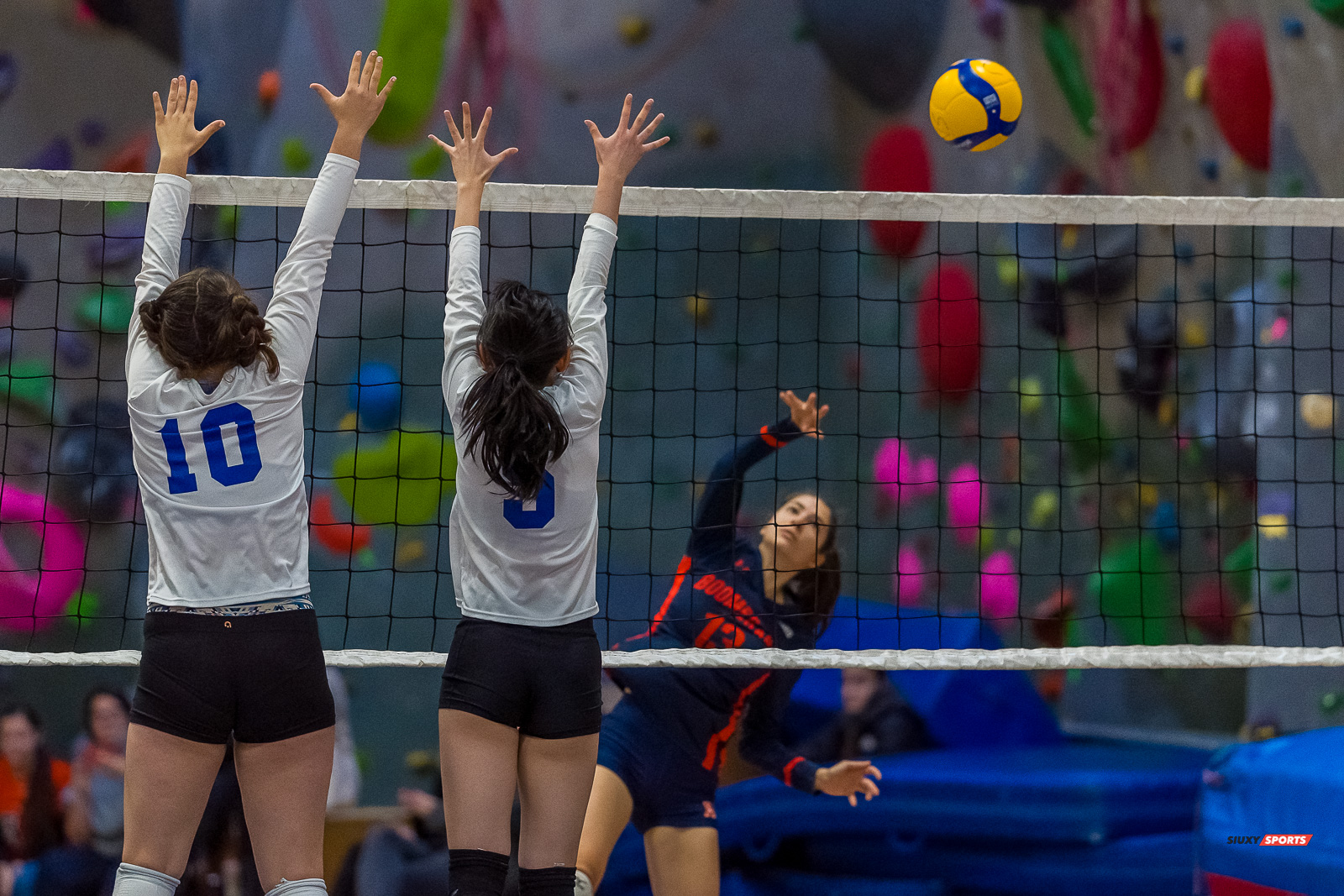  Cégep André Laurendeau - Collège Marianopolis - Volleyball - RSEQ - Volleyball C F D2 Sud-Ouest - Tournoi 4 - Sect F - André Laurendeau (2) vs (1) Marianopolis (#RSEQVolleyALvsMariano2022) Photo by: Dan Taylor-Morin | Siuxy Sports 2022-11-27
