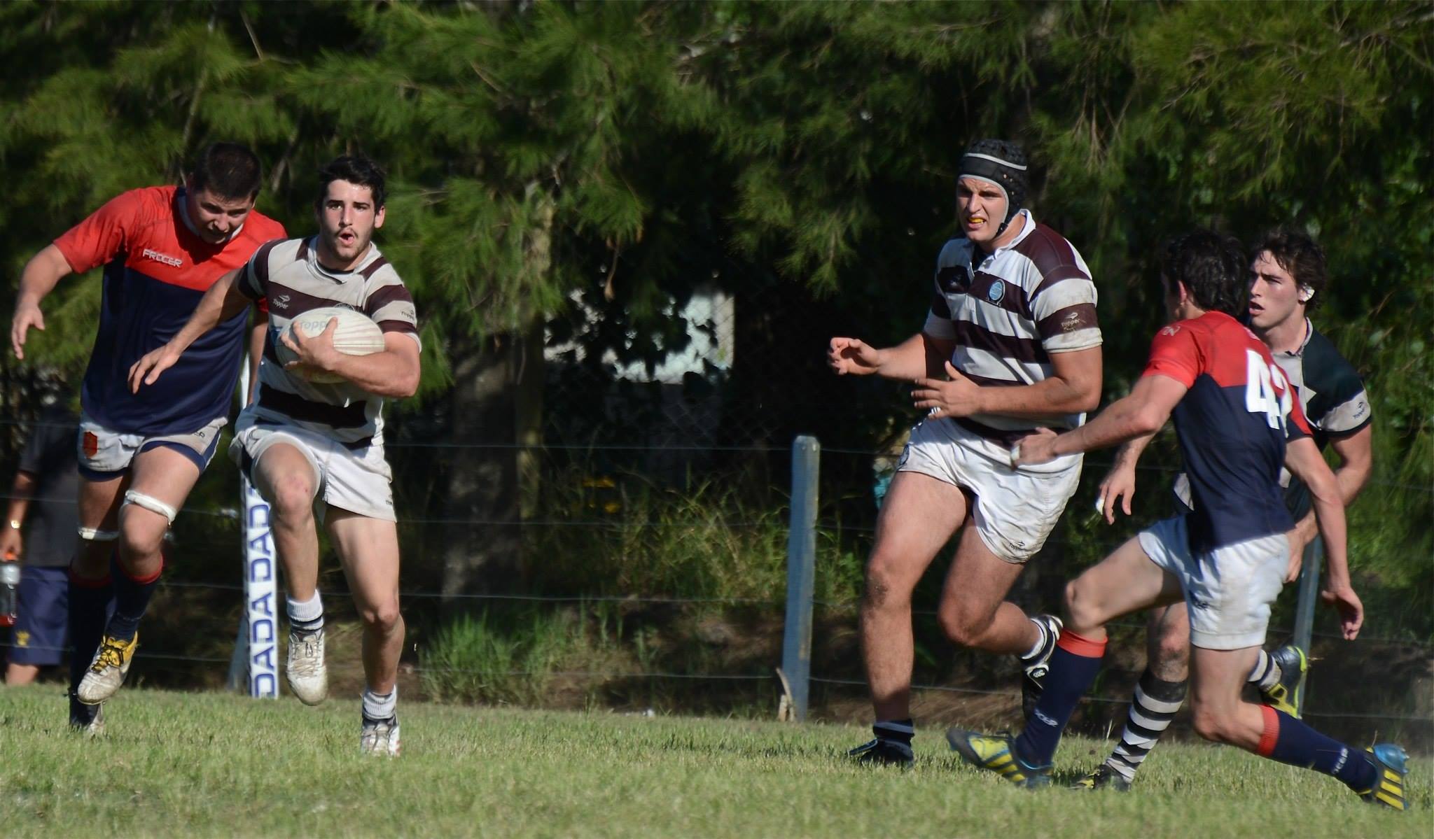  Club Atlético de San Isidro - Asociación Deportiva Francesa - Rugby - A correr () Photo by:  | Siuxy Sports 2014-11-11