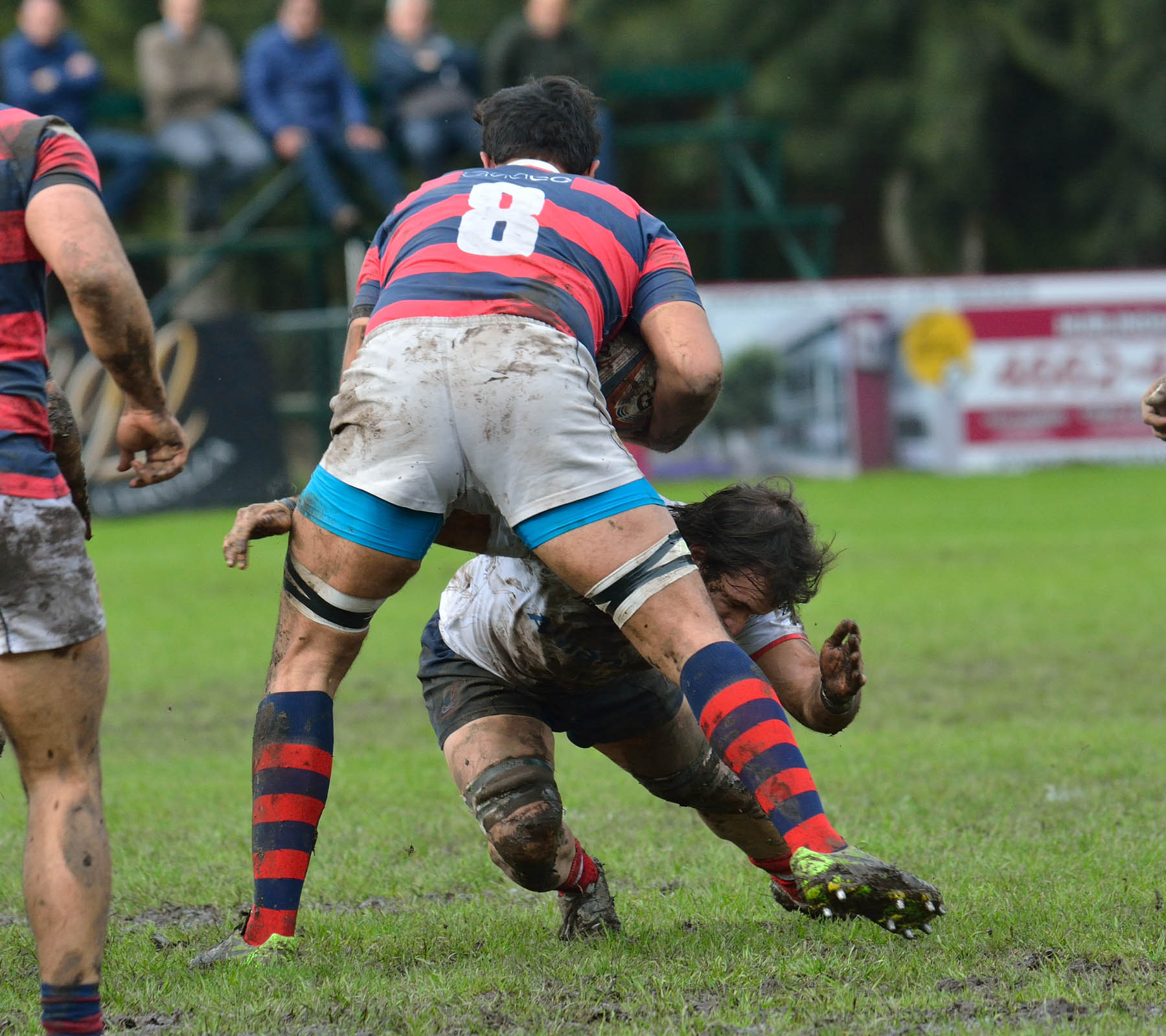  Curupaytí Club de Rugby - Pueyrredón Rugby Club - Rugby -  (#CurupaVsPuey2017) Photo by: Edy Rung | Siuxy Sports 2017-08-19