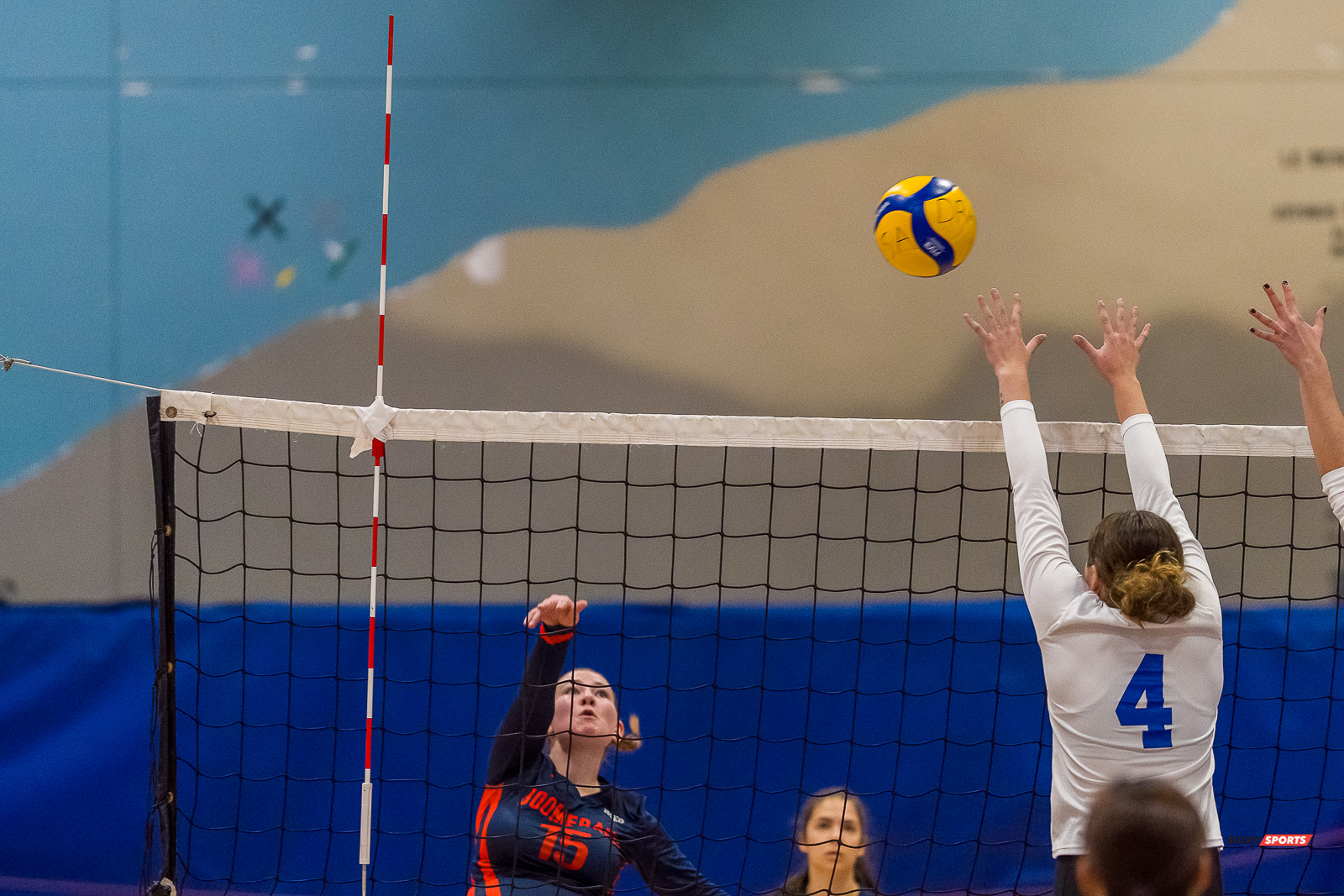  Cégep André Laurendeau - Collège Marianopolis - Volleyball - RSEQ - Volleyball C F D2 Sud-Ouest - Tournoi 4 - Sect F - André Laurendeau (2) vs (1) Marianopolis (#RSEQVolleyALvsMariano2022) Photo by: Dan Taylor-Morin | Siuxy Sports 2022-11-27