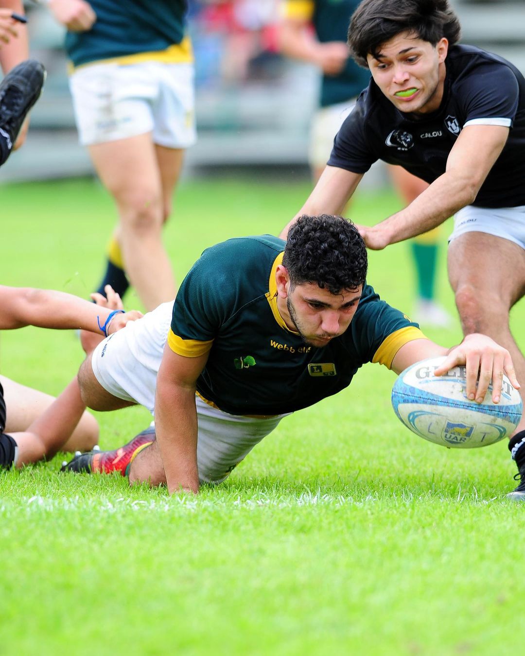  Club de Rugby Los Tilos - Universitario de La Plata - Rugby -  () Photo by:  | Siuxy Sports 2021-09-22