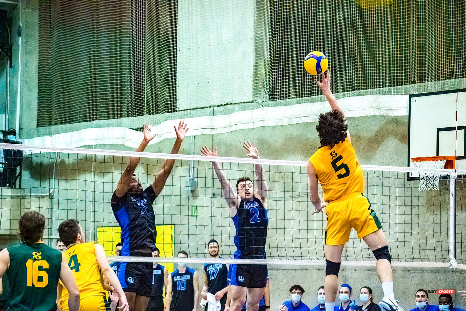Julien BOILEAU - Philippe BORDENAVE - Zachary HOLLANDS - Jonathan PORTELANCE -  Université de Montréal - Université de Sherbrooke - Volleyball - Université de Sherbrooke (3) vs Université de Montréal (1) - Final 1 2022 (#VertOrVsCarabinsFinal1M) Photo by:  | Siuxy Sports 2022-03-19