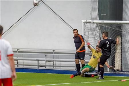 QSL - Dynamo Plateau vs White Eagles