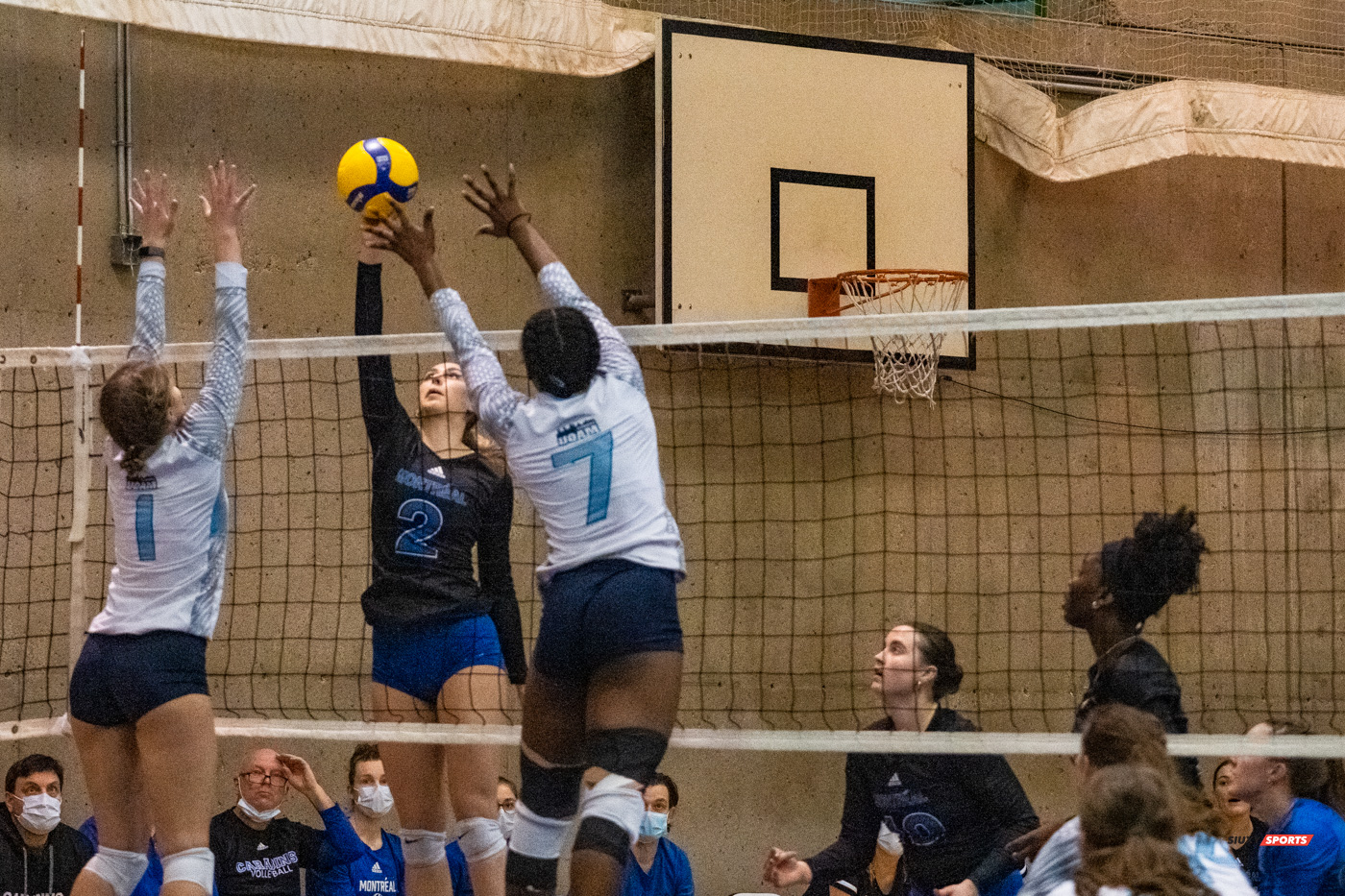 Laura CÔTÉ-COLLIN - Erlande DACILIA - Chloé GALARNEAU-HALEY - Sarah MCGLASHAN -  Université de Montréal - Université du Québec à Montréal - Volleyball - Université de Montréal vs Université du Québec à Montréal - Volleyball Fém (#CrbnsVsCtdns2022VollF) Photo by:  | Siuxy Sports 2022-02-26