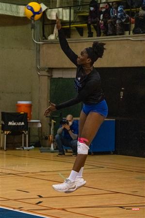 Université de Montréal vs Université du Québec à Montréal - Volleyball Fém