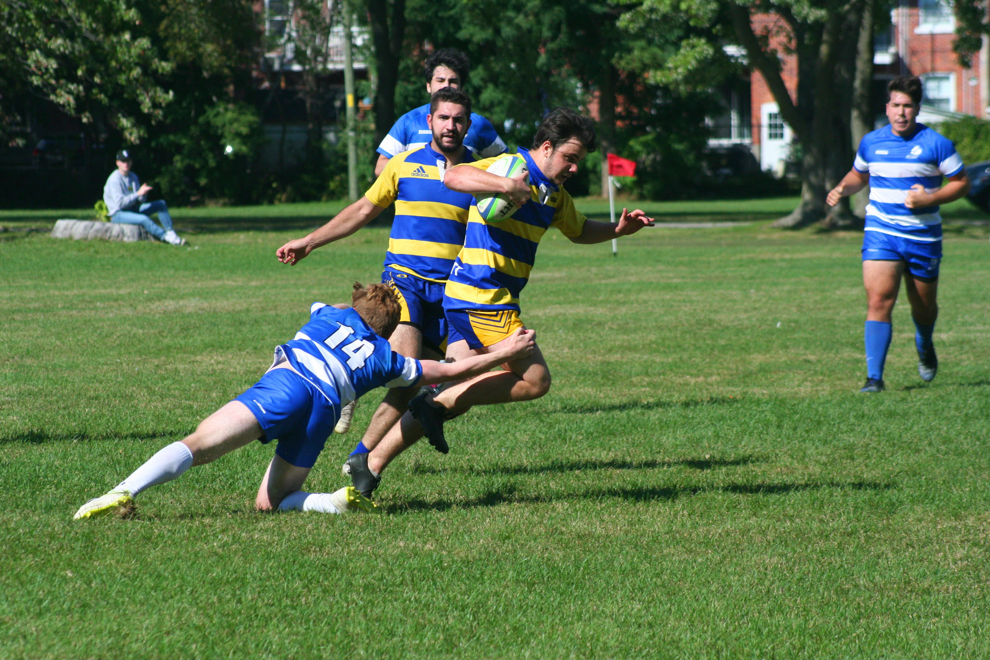  College John Abbott - College Dawson - Rugby - Race to the last try #3 (#DawsonVsAbbott) Photo by:  | Siuxy Sports 2021-09-12