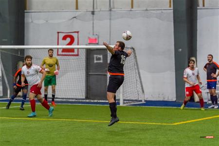 QSL - Dynamo Plateau vs White Eagles